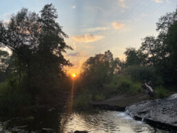 Sonnenuntergang zwischen Bäumen