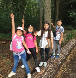 vier Kinder stehen im Wald auf einem abgesägten Baum und halten Stöcke in die Luft
