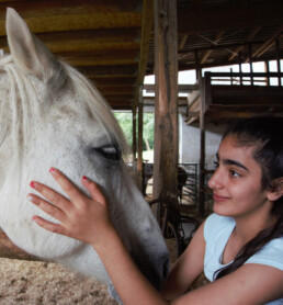 Ein Mädchen schaut einem weißen Pferd tief in die Augen und streichelt sein Gesicht