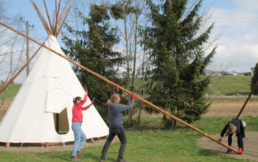 Drei Menschen errichten mit vereinten Kräften ein Tipi - Aufrichten eines Stammes
