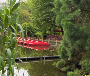 Rote Tretboote auf dem Wasser im Volksgarten Köln