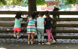 Kinder von hinten bestaunen Tiere im Tierpark und schauen durch einen Holzzaun
