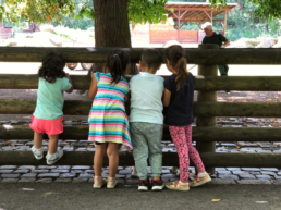 Kinder von hinten bestaunen Tiere im Tierpark