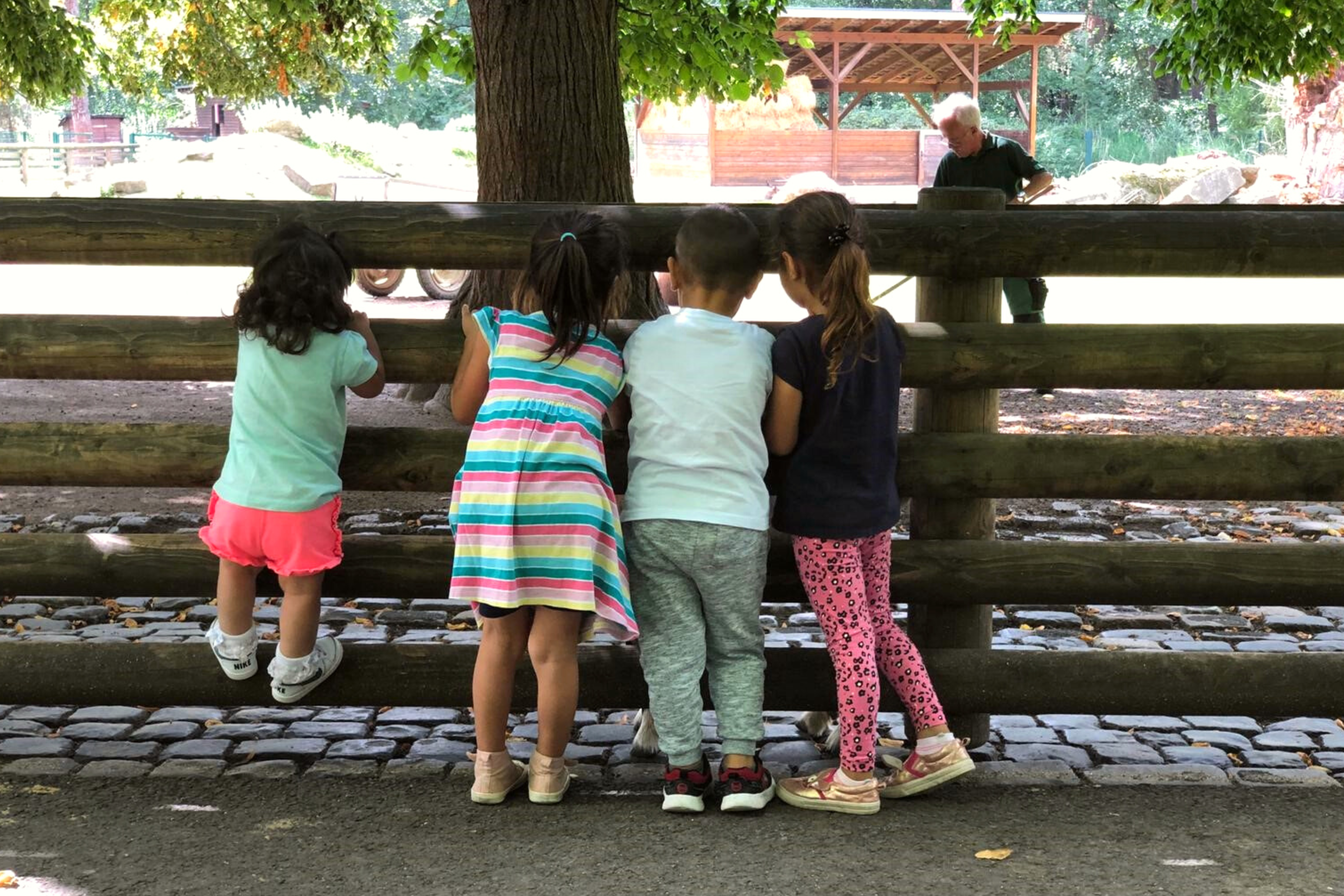 Kinder von hinten bestaunen Tiere im Tierpark und schauen durch einen Holzzaun