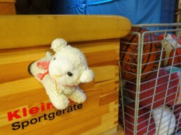 Kuscheltier in Form eines Schafes schaut blickt aus dem Griff eines Sportgeräts hinaus, am rechten Bildrand ist ein Korb mit Bällen zu sehen