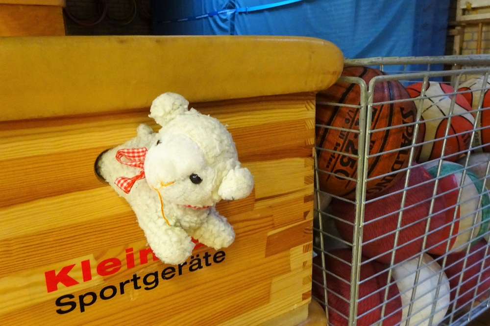 Kuscheltier in Form eines Schafes schaut blickt aus dem Griff eines Sportgeräts hinaus, am rechten Bildrand ist ein Korb mit Bällen zu sehen