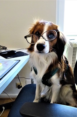 Hund am Schreibtisch