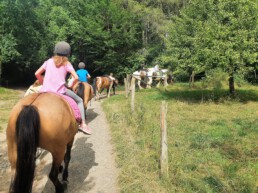 Reiterferien Nengshof