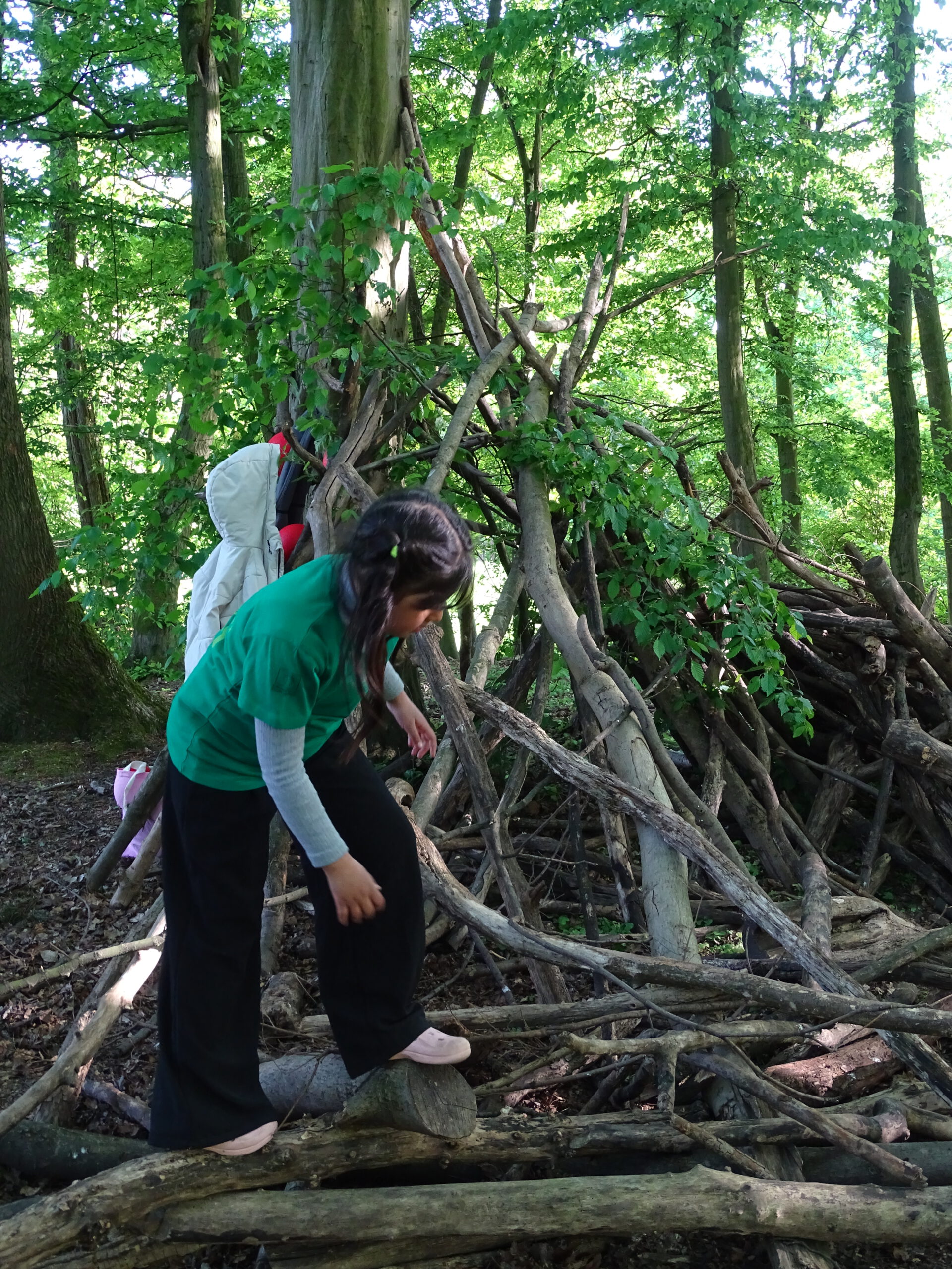 Waldbesuch mit den Kindern